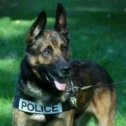 We are here to support Police K9's. They work hard to keep our officers safe. We work towards raising funds to provide first aid kits, vests and tactical gear.