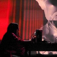 rose kallal (@rosekallal) 's Twitter Profile