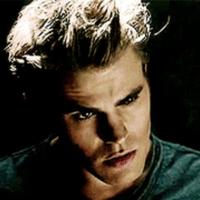 Stefan Salvatore (@stefans632) 's Twitter Profile