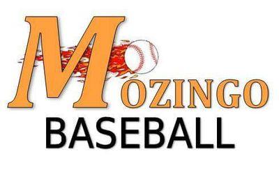 Owner @MozingoBaseball. Author, Young Guns E-Guide. Former pitcher @KansasCityRoyals & @TorontoBlueJays Orgs. All it takes is all you've got