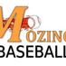 Harold Mozingo (@MozingoBaseball) Twitter profile photo