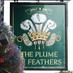 Plume Of Feathers (@plumegreenwich) Twitter profile photo Plume Of Feathers (@plumegreenwich) Twitter profile photo