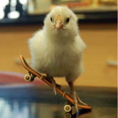 AliACOD5634's profile picture. PSID PS3 Ali-A_COD PS4 Ali-A_CODds