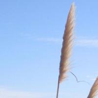 OnlineEnablingEd (@oenablinged) 's Twitter Profile