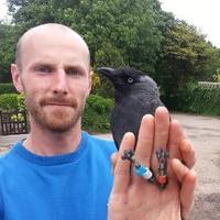Guillam E. McIvor (@guillmcivor) 's Twitter Profile