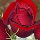 الملتقئ الجنه (@055Yoyo) Twitter