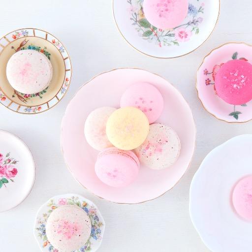 sscrowley's profile picture. Photographer