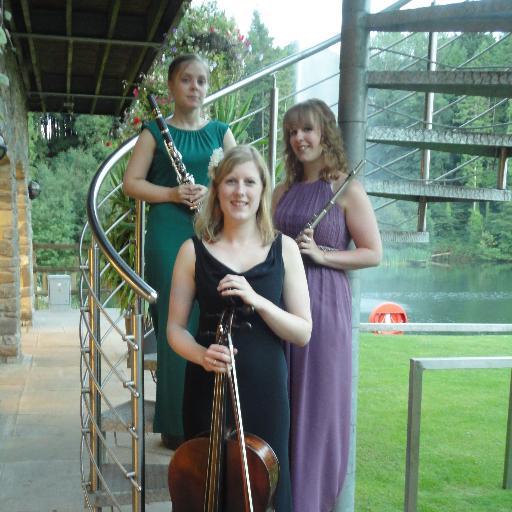 #classical #flute, #clarinet and #cello #trio available for #recitals, #weddings/#functions and #corporate events