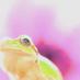 äœäŒ¯ çäž (@kame77755) Twitter profile photo äœäŒ¯ çäž (@kame77755) Twitter profile photo