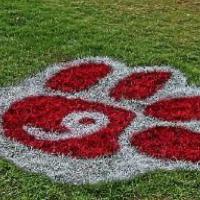 OJRHS Baseball ⚾️ (@ojrbaseball) 's Twitter Profile