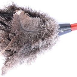 feather_clean's profile picture. Start cleaning like a professional with Feather Clean!Our product is made from the highest quality Ostrich Feathers, a natural and organic way to clean!