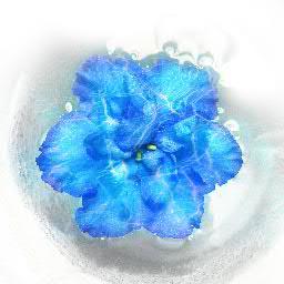 lightwind_77's profile picture. 