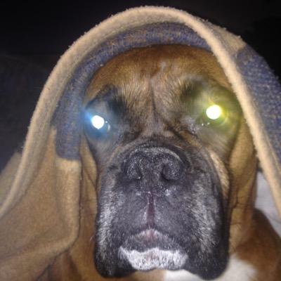 olderthanevil1's profile picture. 