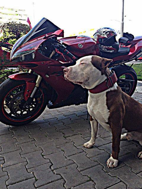 karl_2k10's profile picture. chilling