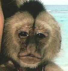 momaburke's profile picture. 