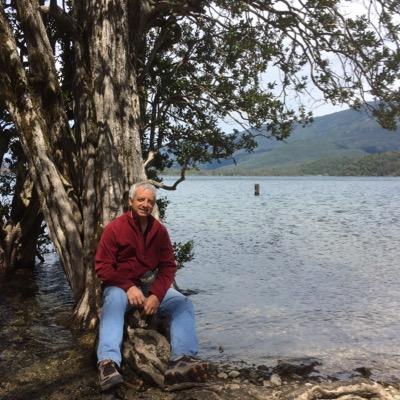 Gerente de un equipo totalment #remoto. Comparto mi experiencia para esta nueva era. Coach Ontologico y ejecutivo. Consultor en Gerencia Remota