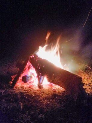 SierraStudyos's profile picture. parody