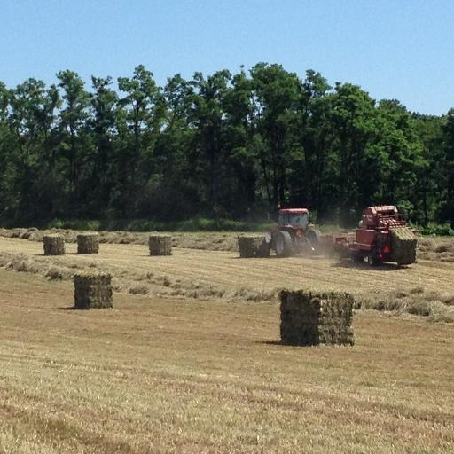 Dedicated to ensuring profitable and viable farms in Halton Region.