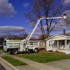 Dmtreeservice's profile picture. Full Service Tree Company