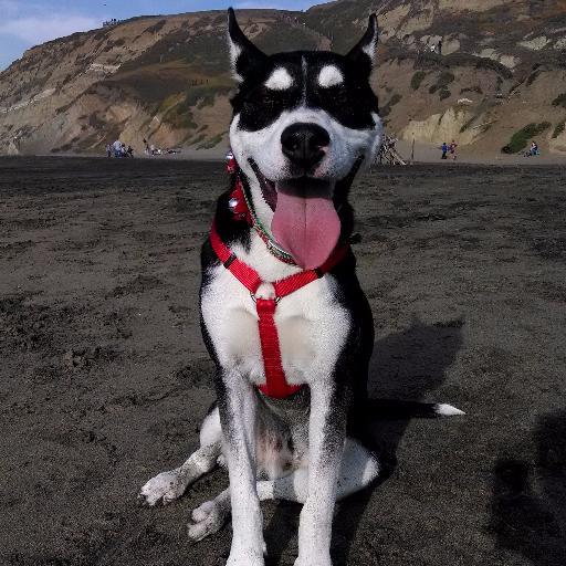 vee_tech8's profile picture. Tech enthusiast & pet lover