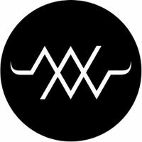 The New Noise (@thenewnoiseit) 's Twitter Profile
