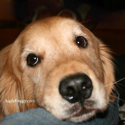 RudyCookHur's profile picture. 