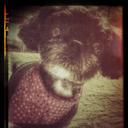 Chrissy chandler - @CCJKCHANDLER43 - Twitter