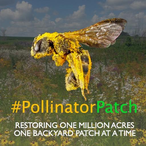 Planting One Million Acres for Native Pollinator Habitat Restoration and Conservation & Raising Pollinator Awareness