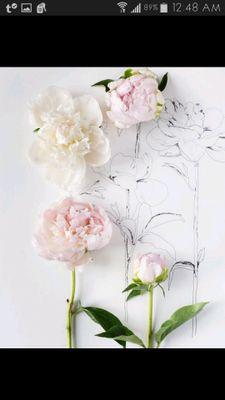 ✧ elegant things & soulful soundz ✧ #illhueminati ♍