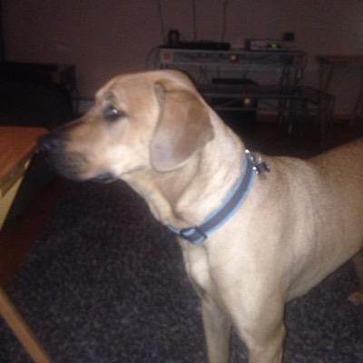 CookieToke's profile picture. 