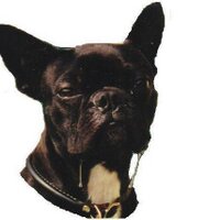 OpenSoars (@funnebone) 's Twitter Profile