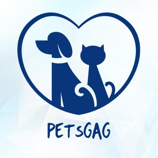 (Pets + Photos+ Videos + Quotes) * Positive = Petsgag