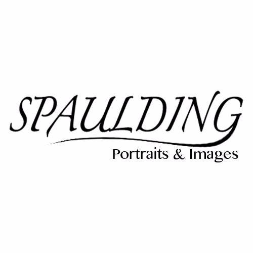 spauldingYYC's profile picture. Photographer for Spaulding Portraits and Images. Admirer of all the arts.
