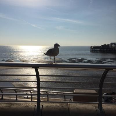 Bronte50Eyre's profile picture. 