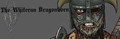 Took an arrow in the knee... still an adventurer. Born and raised in Whiterun where I have become the Dragonborn!