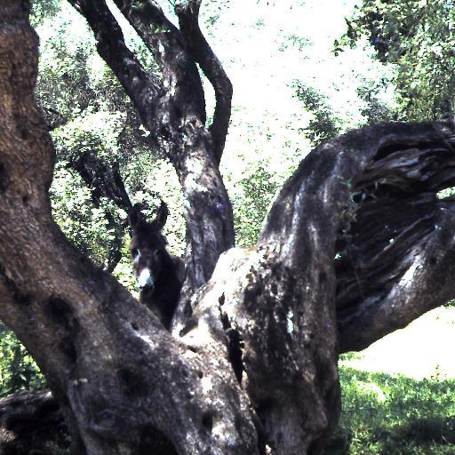 fionambruce's profile picture. Not the Fiona Bruce some people seem to think I am. Labour Party member from 1974. Humourless feminist.