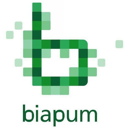 BIAPUM's profile picture. StartUp developing iPhone & Android apps