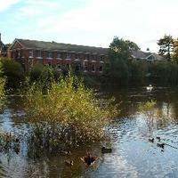 The Armoury (@armoury_pub) 's Twitter Profile Photo The Armoury (@armoury_pub) 's Twitter Profile Photo