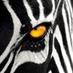 Peric9 (@medejoconvia) Twitter profile photo Peric9 (@medejoconvia) Twitter profile photo