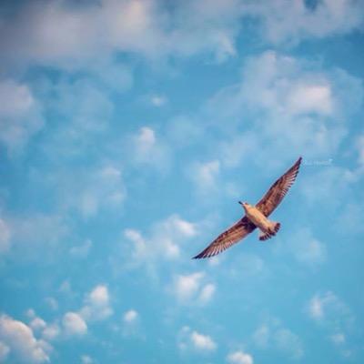 Asma2020aa's profile picture. أُراهن على الأمل ..ومؤمنة أن السعاده موجودة في كل مكان لمن تأمل !