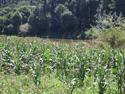 DALCINBALDASSO's profile picture. 