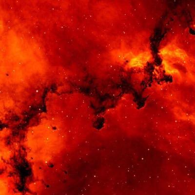 interstellar994's profile picture. 