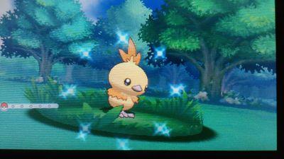 ShinyhunterB's profile picture. Just kill me