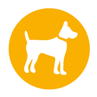 Dementia Dog(@dementiadog) 's Twitter Profile Photo