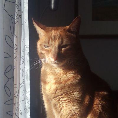 blackundersmog's profile picture. fatal de lo mío