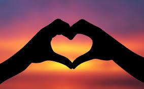 AnaIFuentes2429's profile picture. DIRECTIONER I love ONE DIRECTION        Belive In Your Dreems And Never Say Never        CODER I love CD9