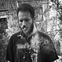 Nuno Martins (@nunomart11) 's Twitter Profile