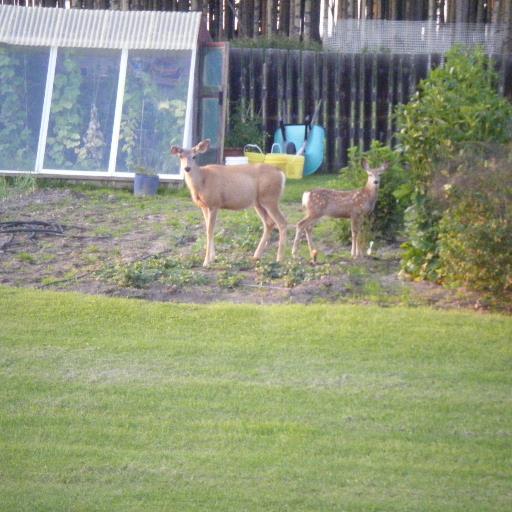 dwayneoja's profile picture. Oilfield guy