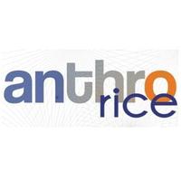 Rice Anthropology (@riceanthro) 's Twitter Profile Photo Rice Anthropology (@riceanthro) 's Twitter Profile Photo