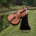 Amy Baldwin (@amyb_bass) Twitter profile photo Amy Baldwin (@amyb_bass) Twitter profile photo